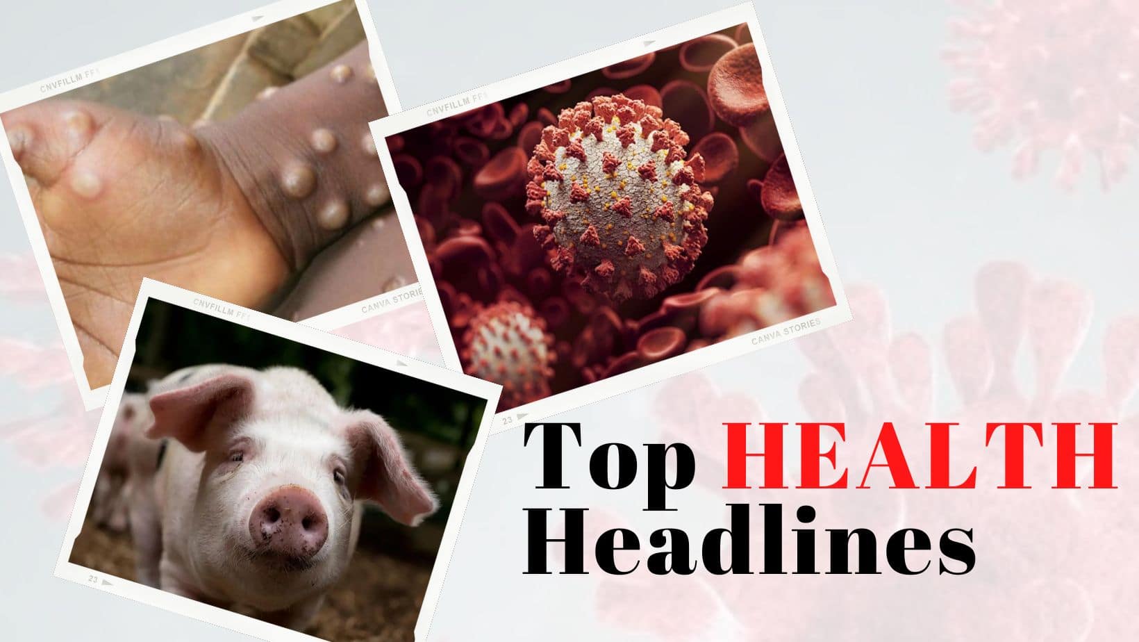 Punjab Monitoring Lumpy Disease Outbreak To COVID Cases Reaching A New High In Delhi: Top Headlines Of The Day